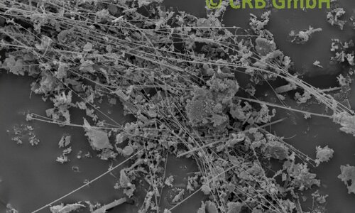 SEM-beeld amosiet asbest in dieselgur | © CRB Analyse Service GmbH